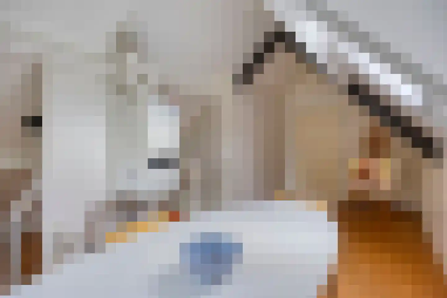 Vlierlaan 29 Terheijden thumbnail 39
