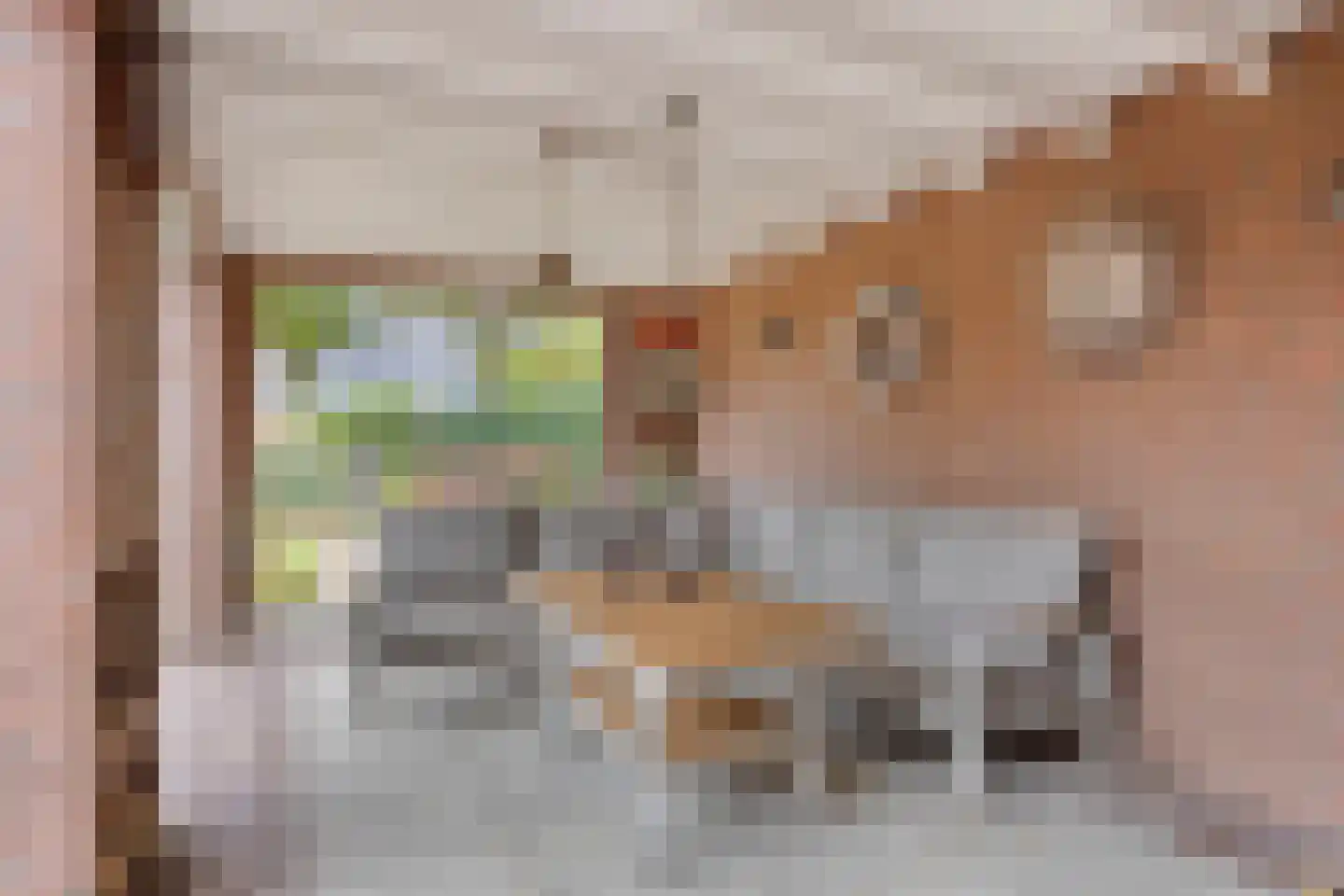Vlierlaan 29 Terheijden thumbnail 42