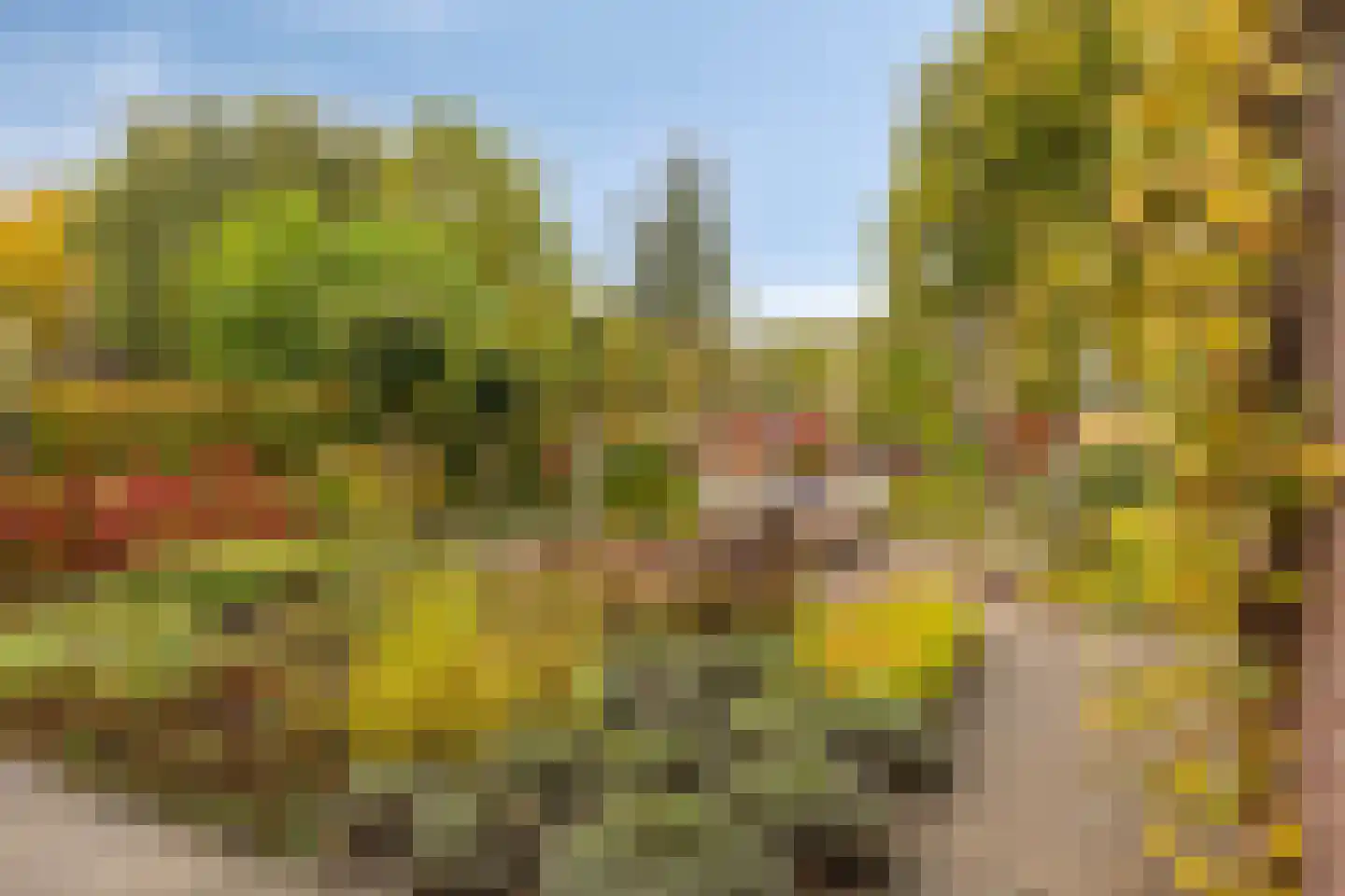 Vlierlaan 29 Terheijden thumbnail 45