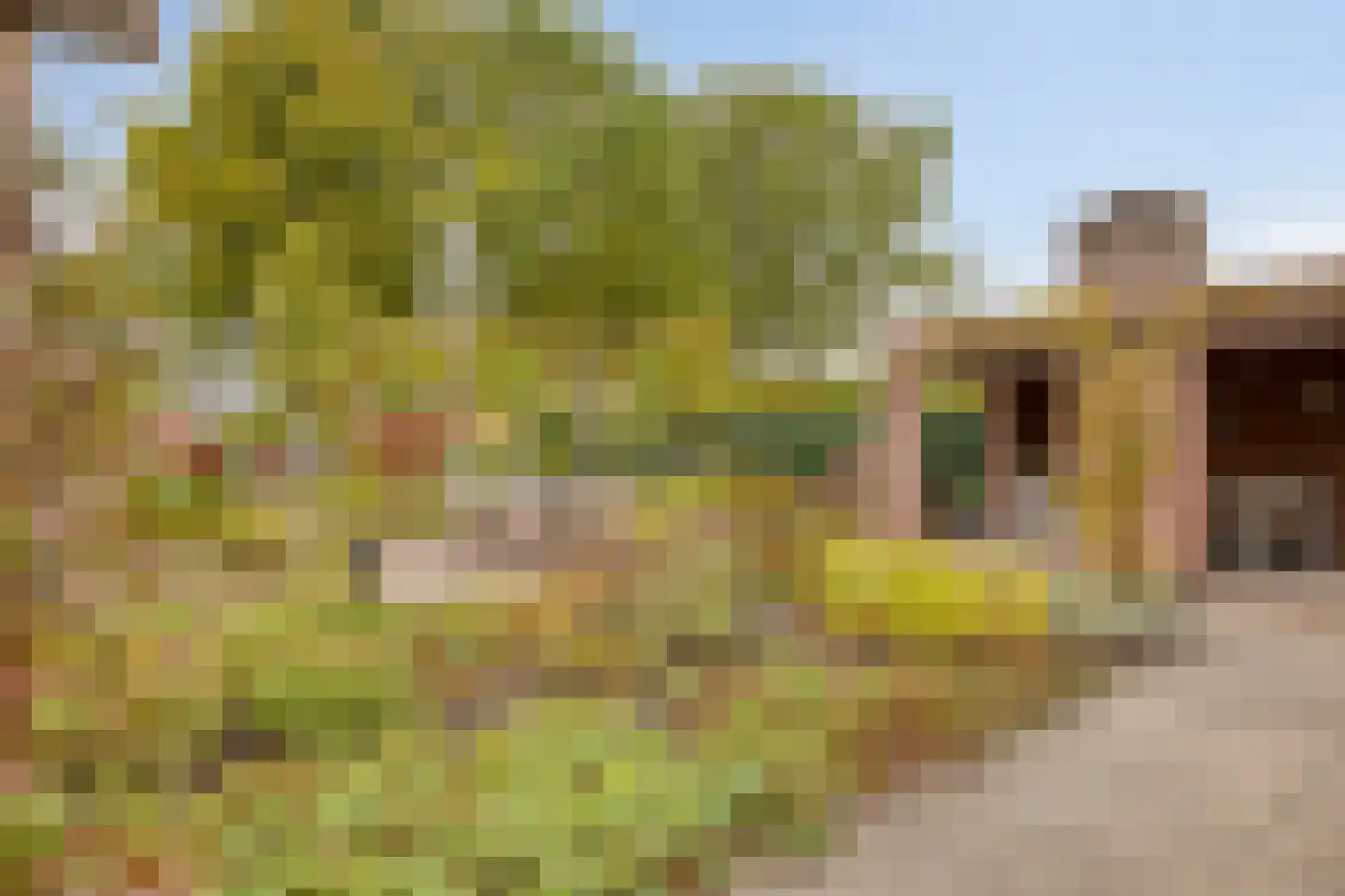 Vlierlaan 29 Terheijden thumbnail 47