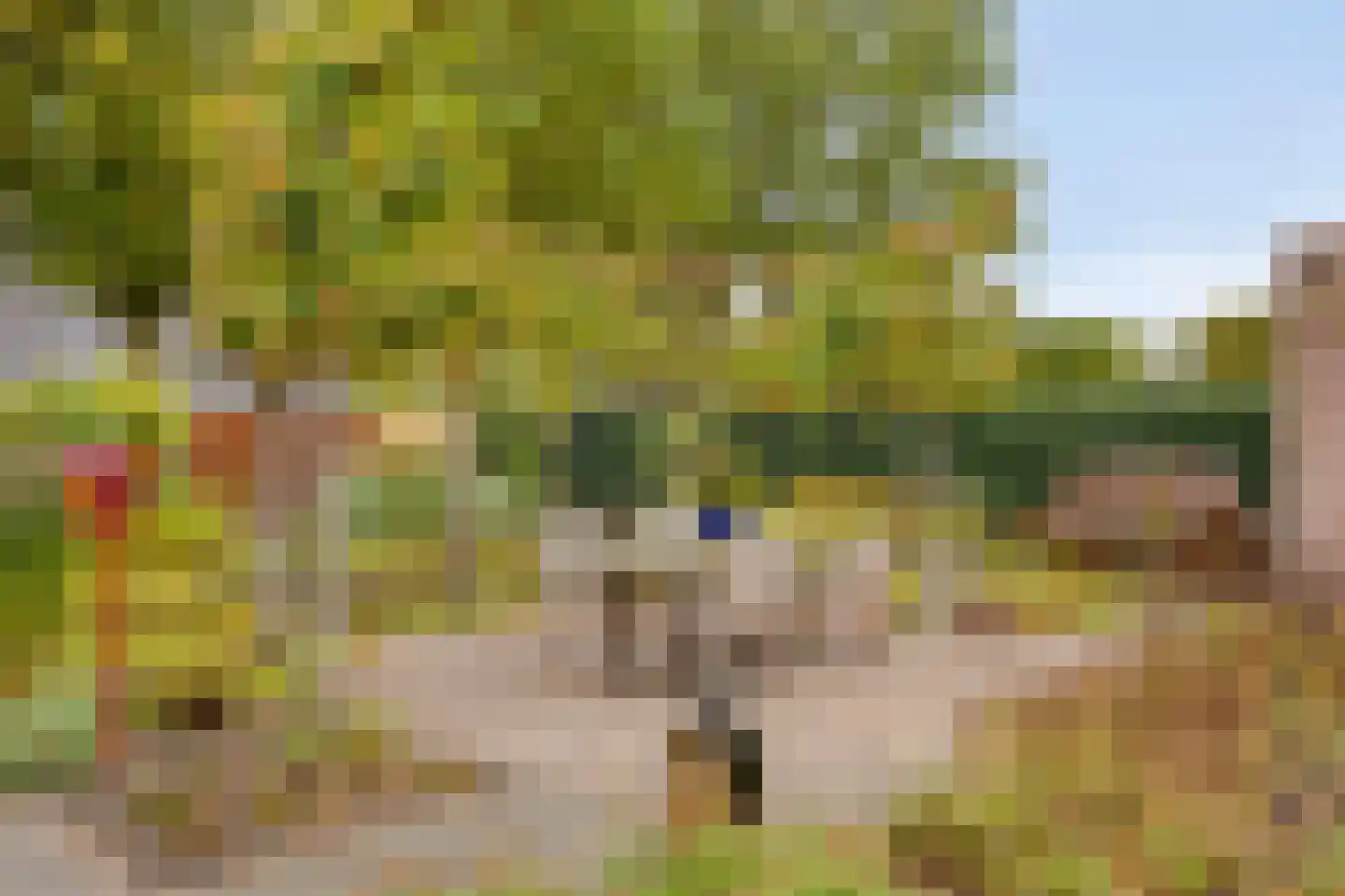 Vlierlaan 29 Terheijden thumbnail 48