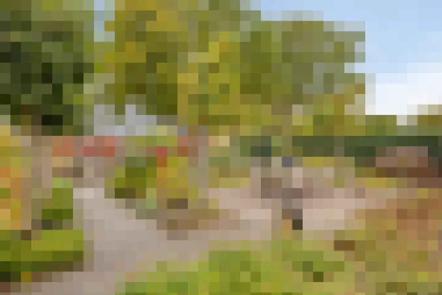 Vlierlaan 29 Terheijden thumbnail 49