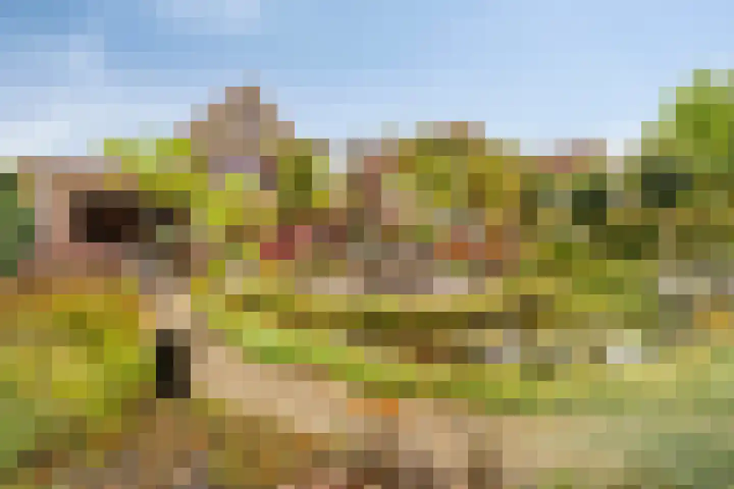 Vlierlaan 29 Terheijden thumbnail 5