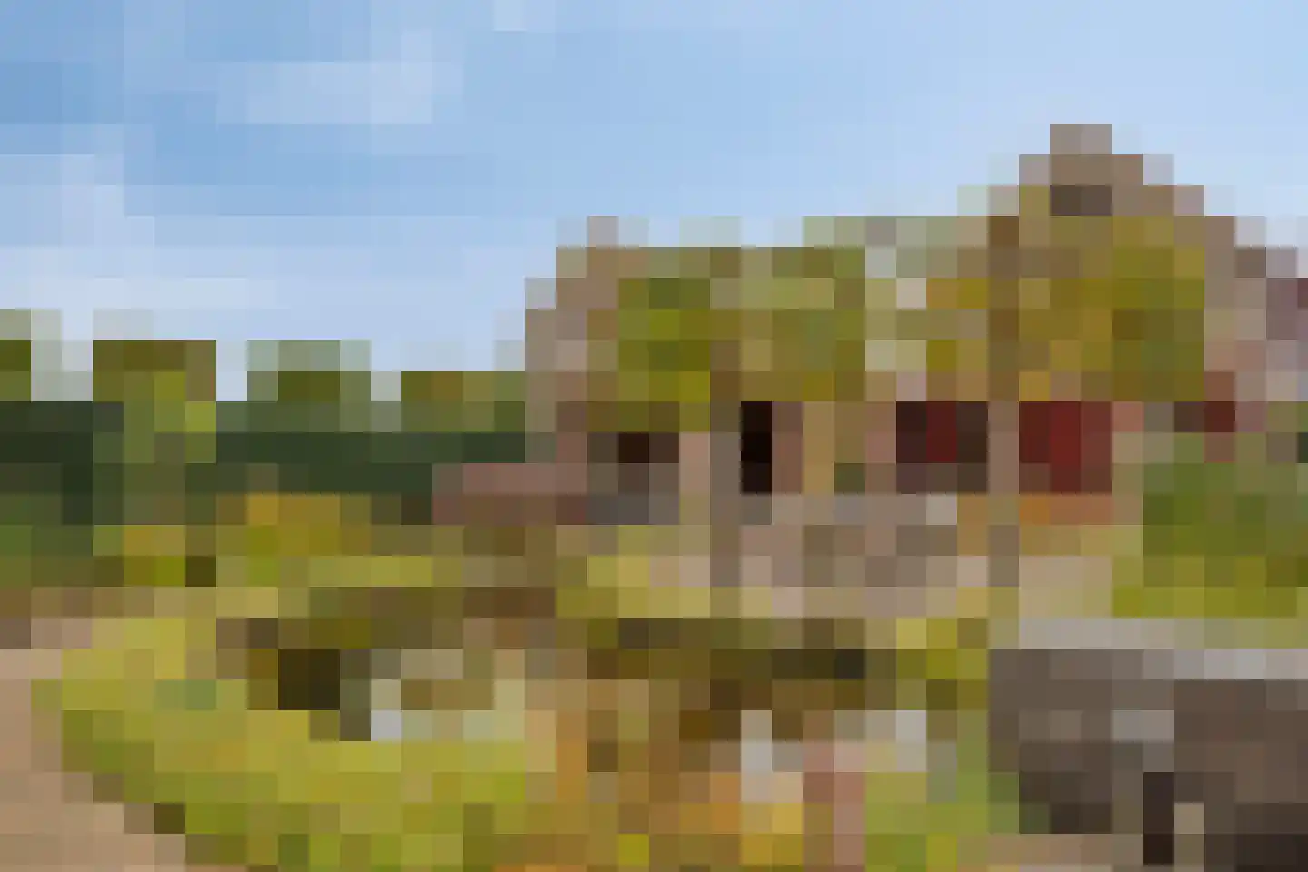 Vlierlaan 29 Terheijden thumbnail 50