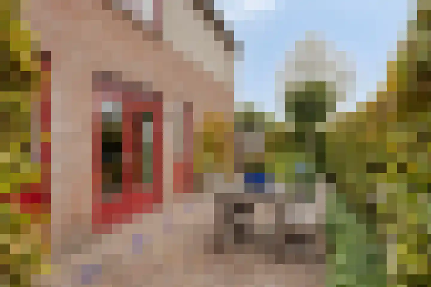 Vlierlaan 29 Terheijden thumbnail 51