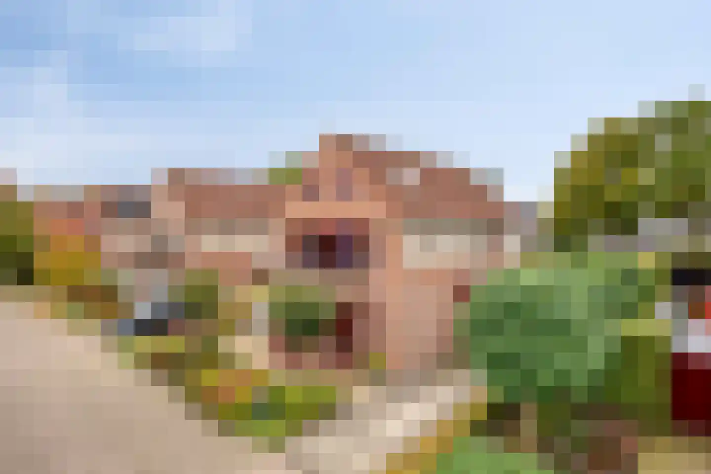 Vlierlaan 29 Terheijden thumbnail 52