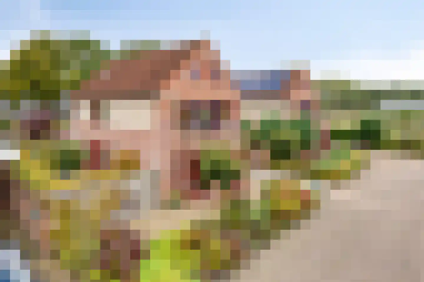 Vlierlaan 29 Terheijden thumbnail 55