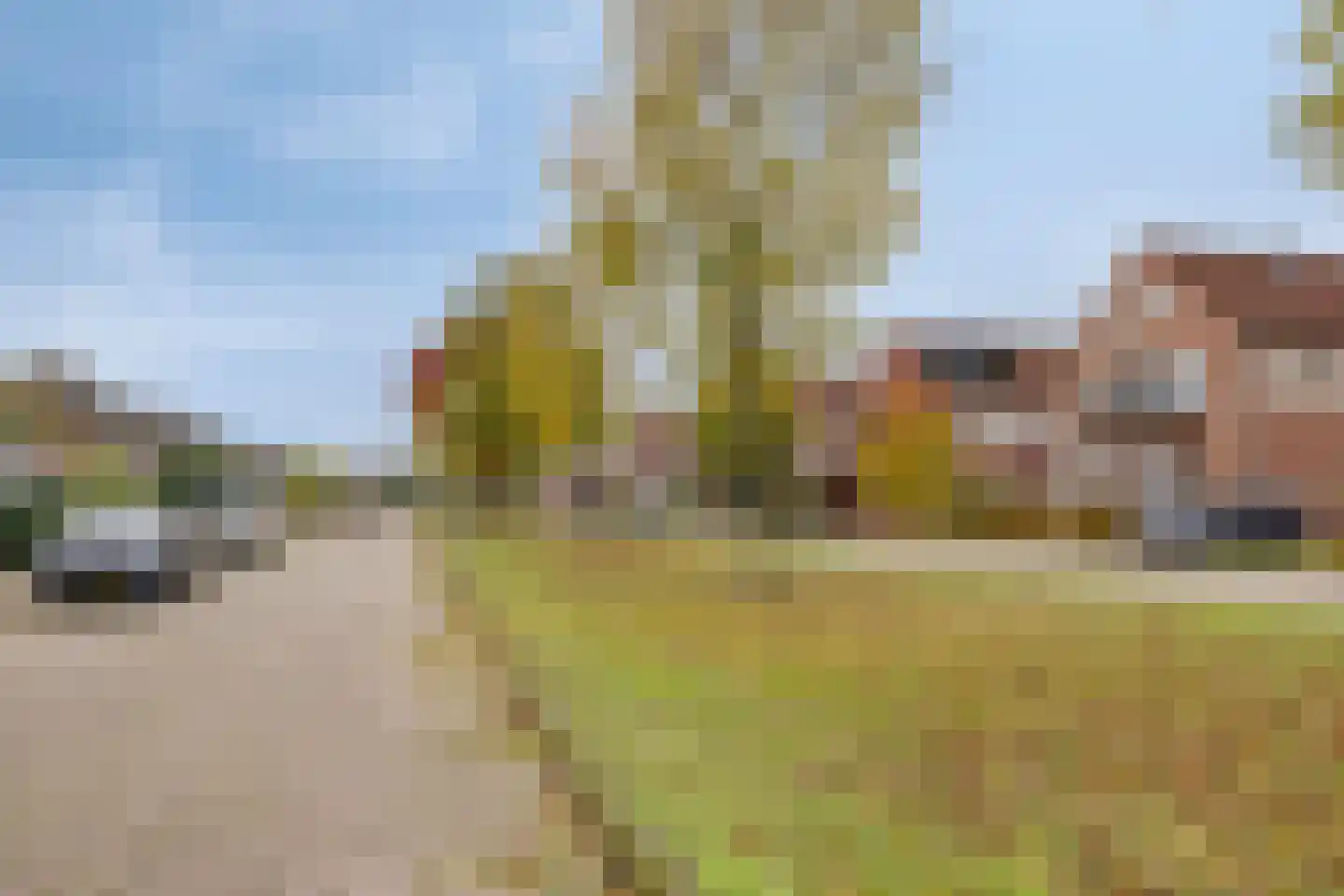 Vlierlaan 29 Terheijden thumbnail 56