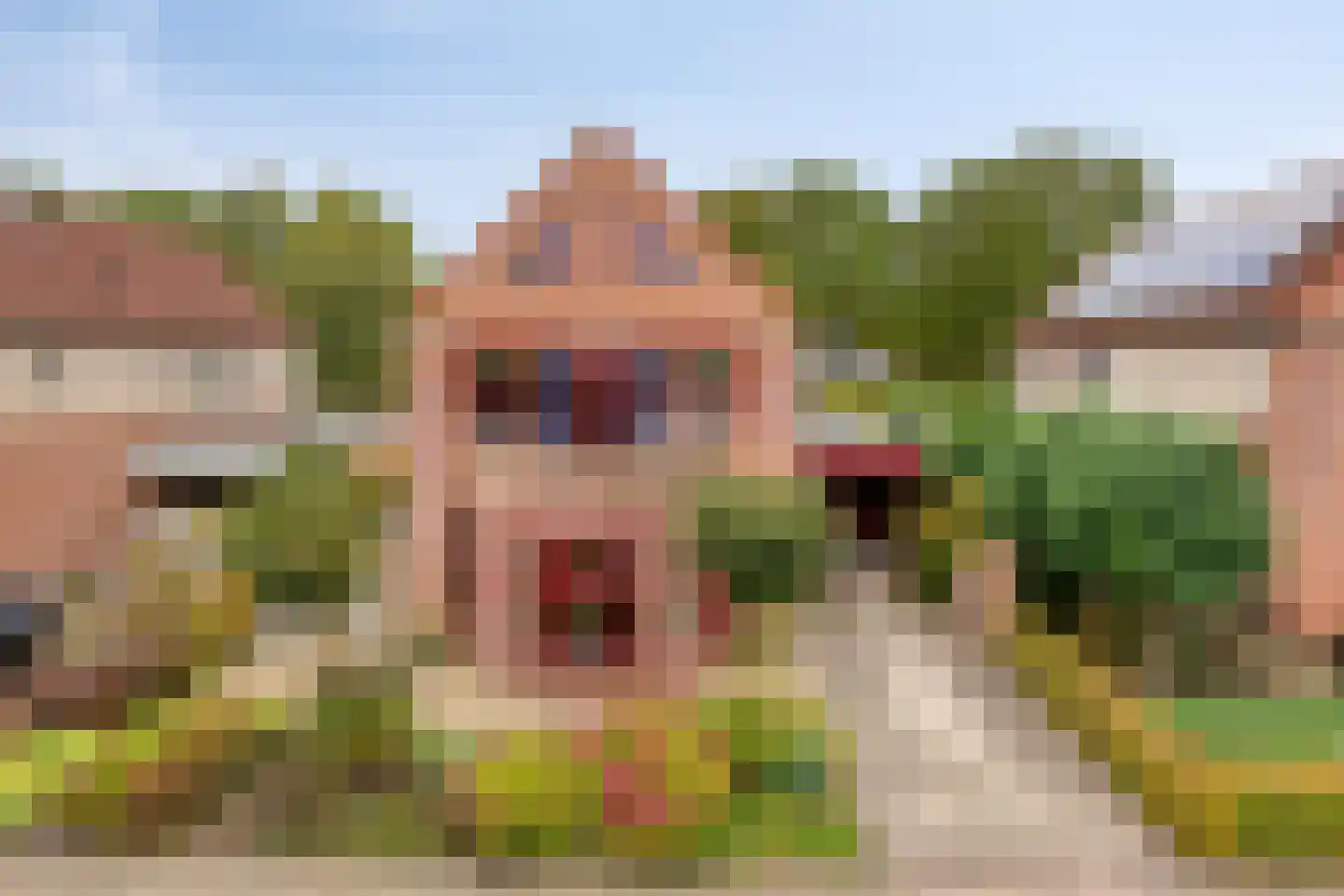 Vlierlaan 29 Terheijden thumbnail 6