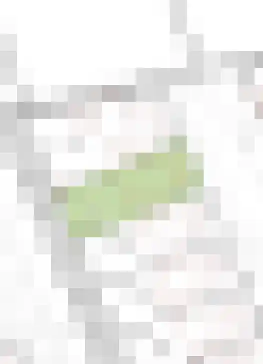 Vlierlaan 29 Terheijden thumbnail 63