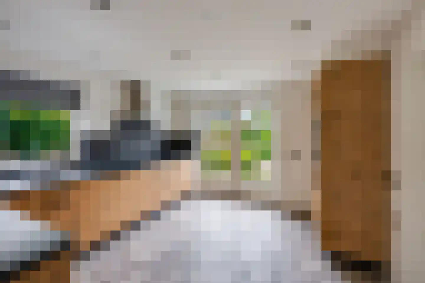 Vlierlaan 5 Berkel-Enschot thumbnail 14