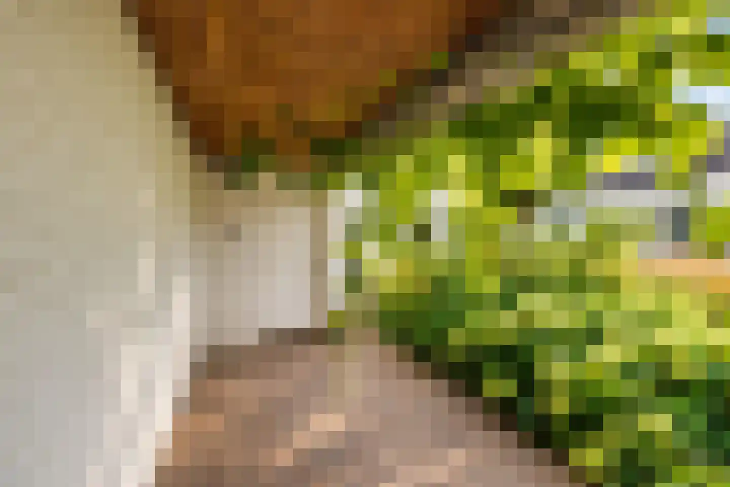 Vlierlaan 5 Berkel-Enschot thumbnail 56