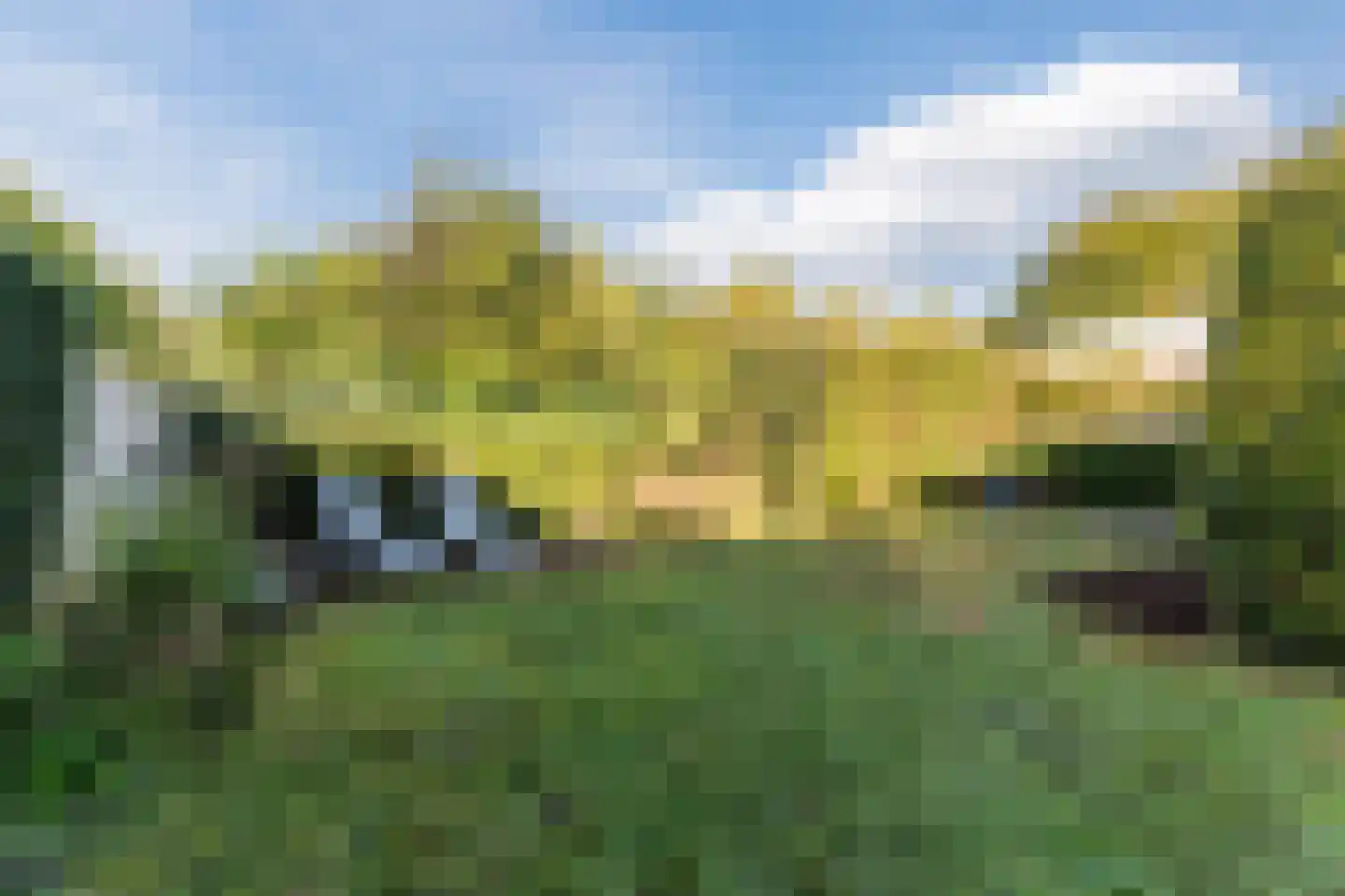 Vlierlaan 78 Oosterhout thumbnail 48