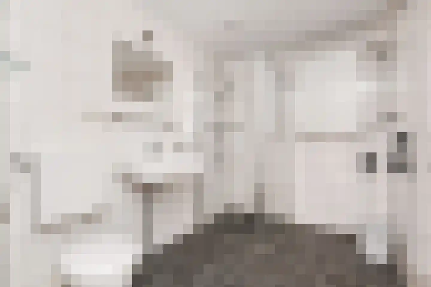 Vlierpad 13 Gouda thumbnail 17