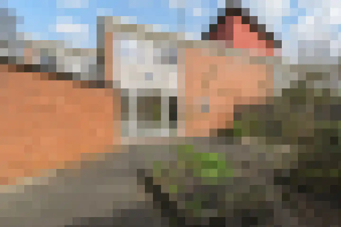 Vlierpad 13 Gouda thumbnail 22