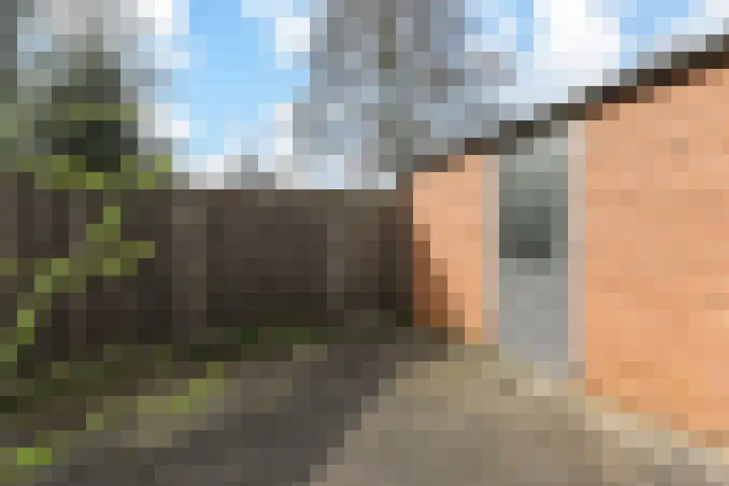 Vlierpad 13 Gouda thumbnail 25
