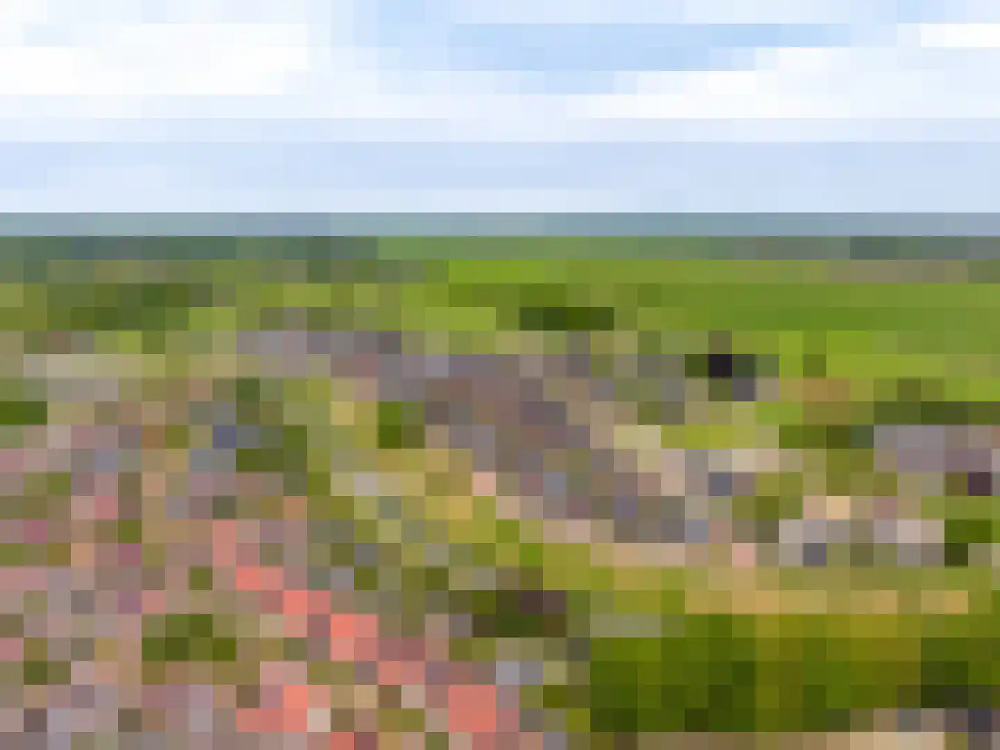 Vliersingel 20 Elburg thumbnail 61