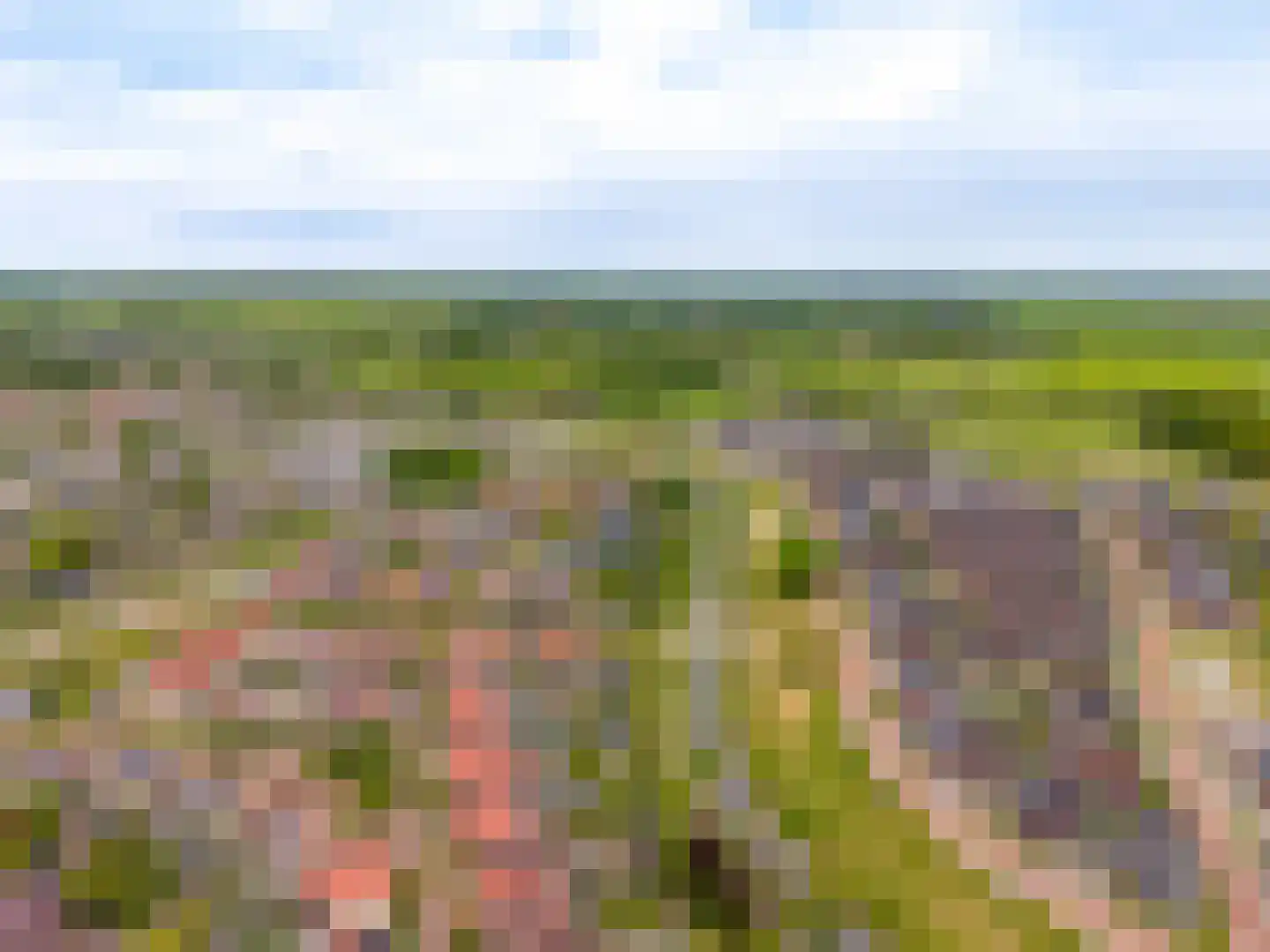 Vliersingel 20 Elburg thumbnail 64