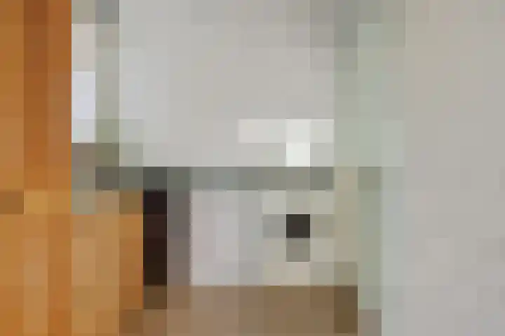 Vliersingel 33 Deurne thumbnail 18