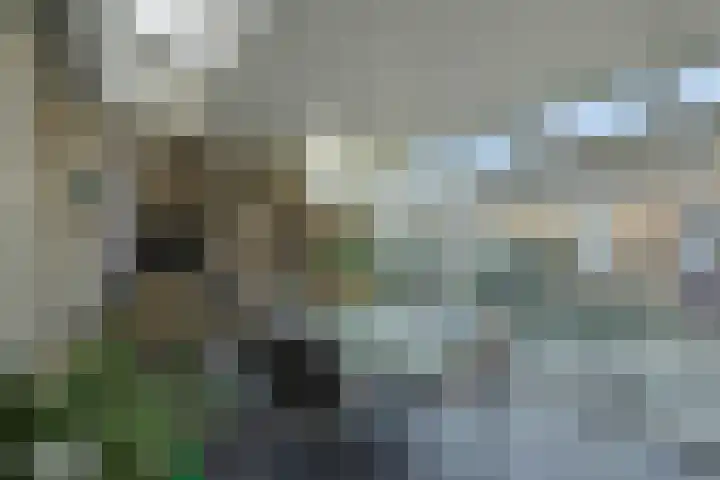 Vliersingel 33 Deurne thumbnail 33