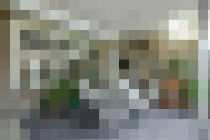Vliersingel 33 Deurne thumbnail 34