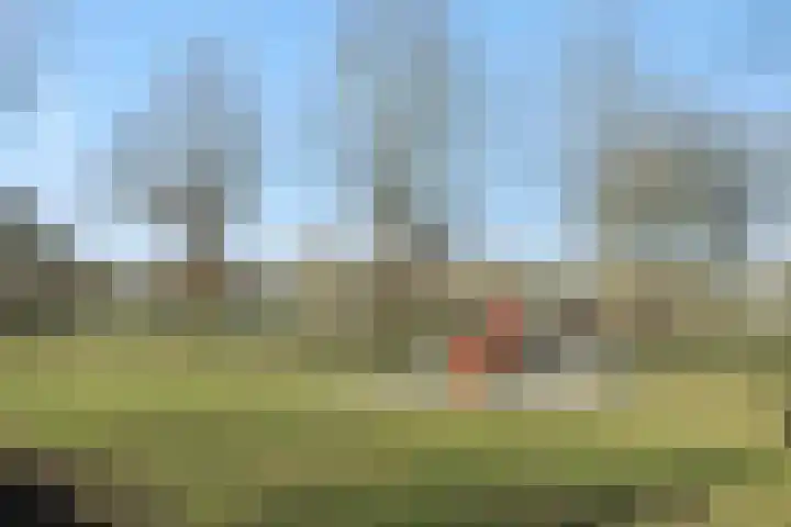 Vliersingel 33 Deurne thumbnail 39