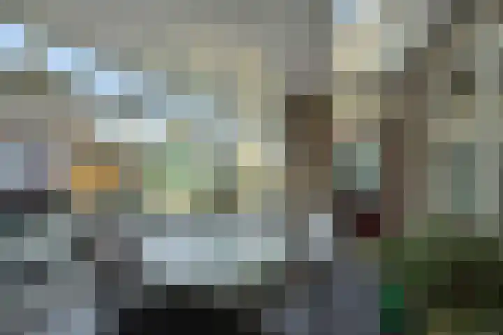 Vliersingel 33 Deurne thumbnail 4
