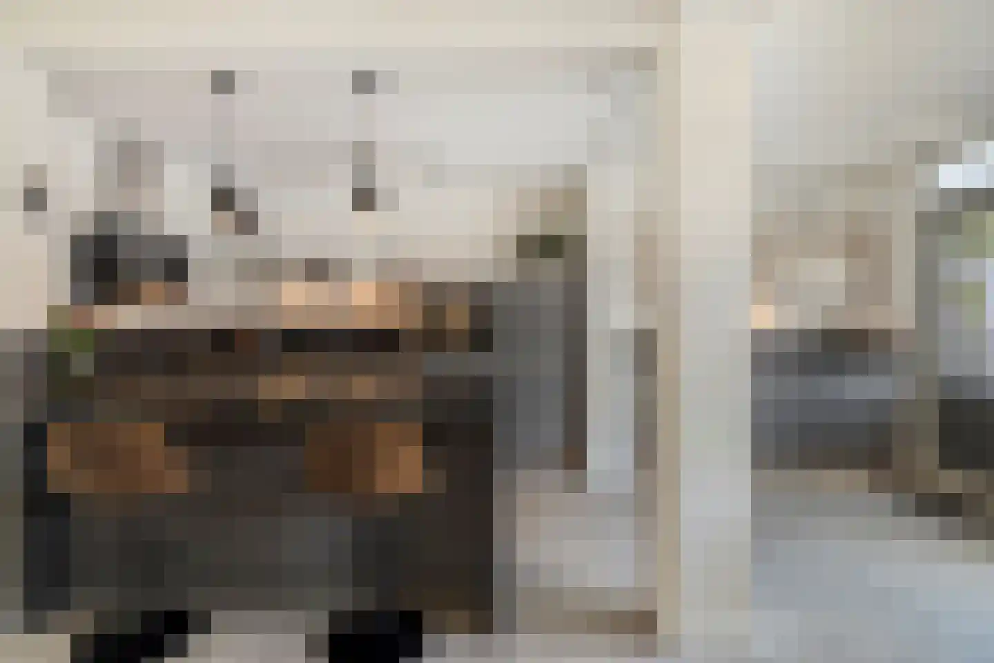 Vlierstraat 10 Steenbergen thumbnail 17