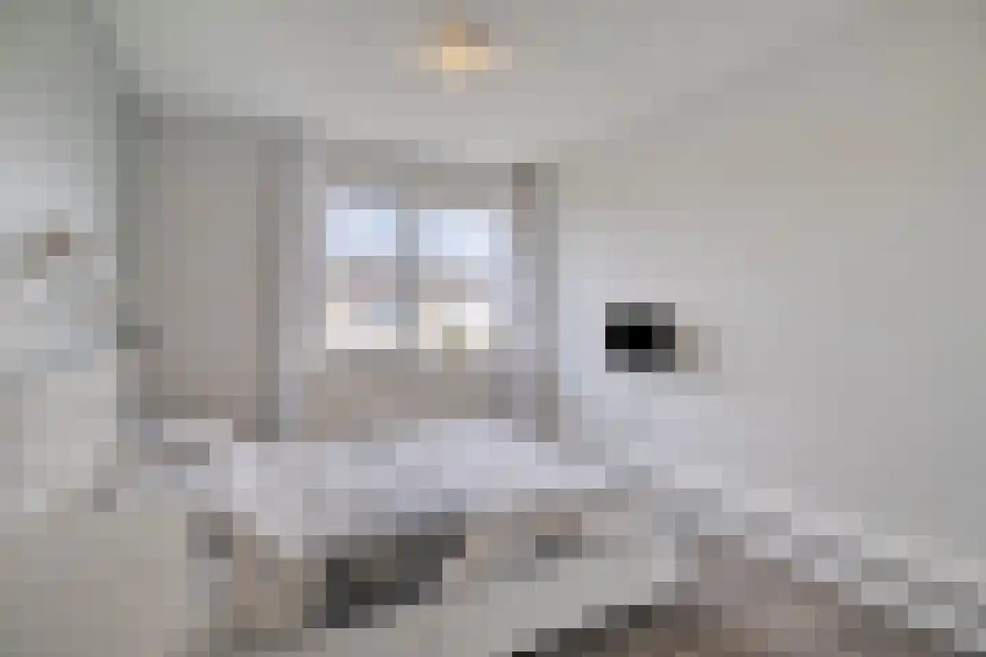 Vlierstraat 10 Steenbergen thumbnail 25