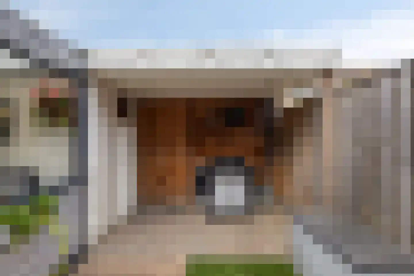 Vlierstraat 10 Steenbergen thumbnail 43