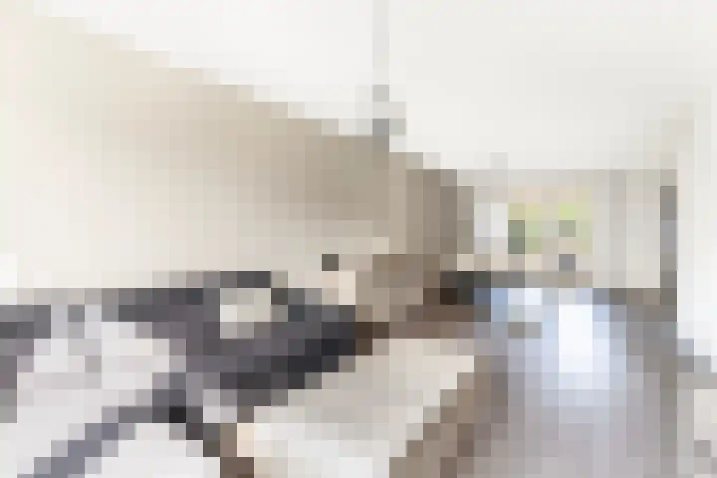 Vlierstraat 10 Wezep thumbnail 11