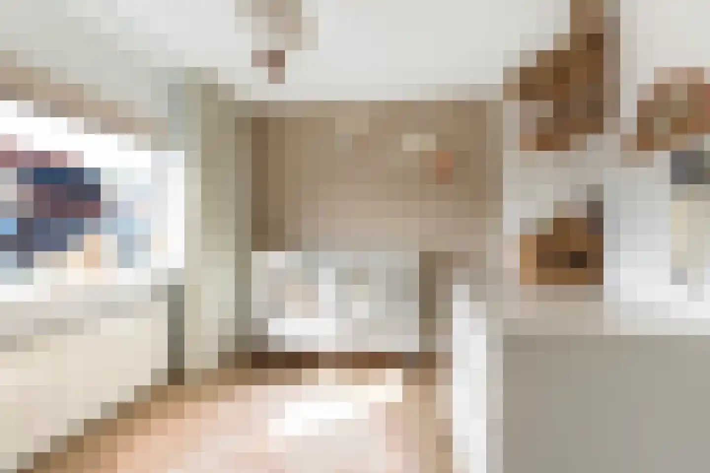 Vlierstraat 10 Wezep thumbnail 27
