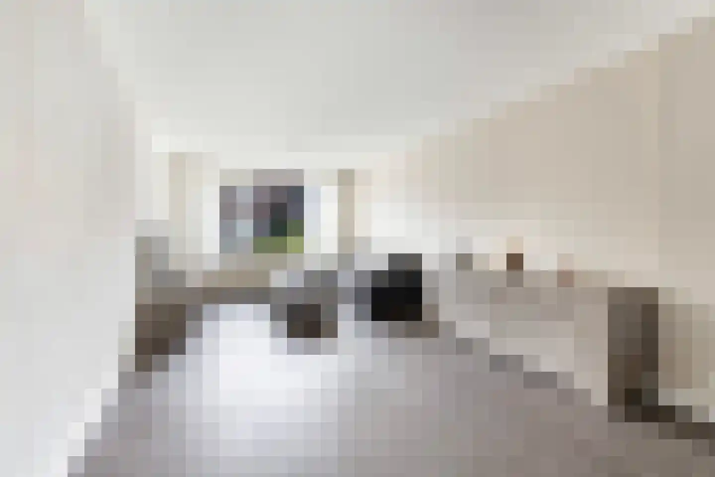 Vlierstraat 10 Wezep thumbnail 9