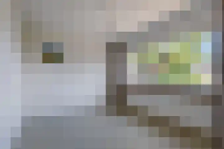 Vlierstraat 13 Asten thumbnail 15