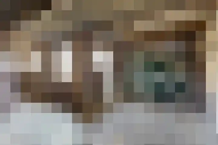 Vlierstraat 13 Asten thumbnail 19
