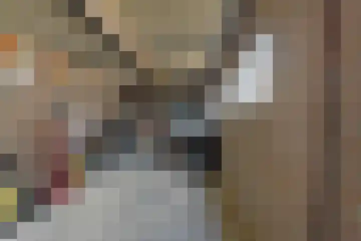 Vlierstraat 13 Asten thumbnail 20