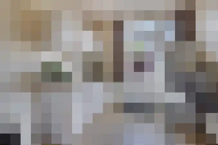 Vlierstraat 13 Asten thumbnail 4