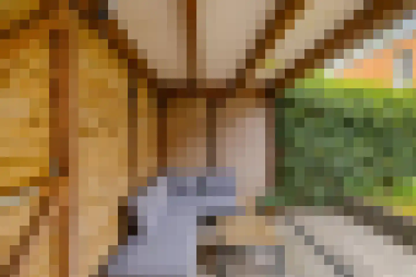 Vlierstraat 15 Groningen thumbnail 21