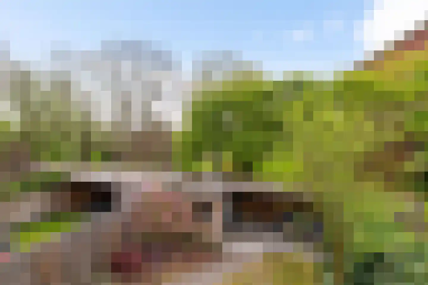 Vlierstraat 15 Groningen thumbnail 28