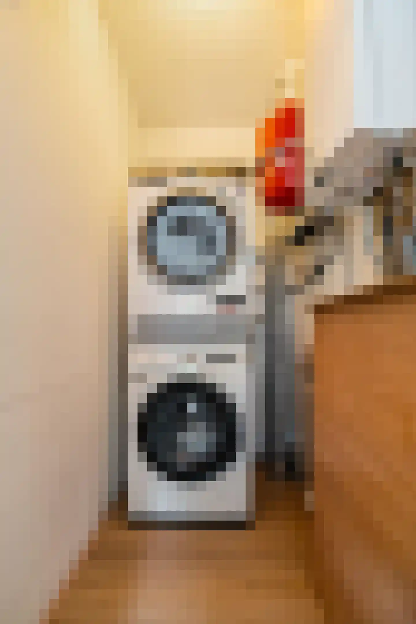 Vlierstraat 15 Groningen thumbnail 36