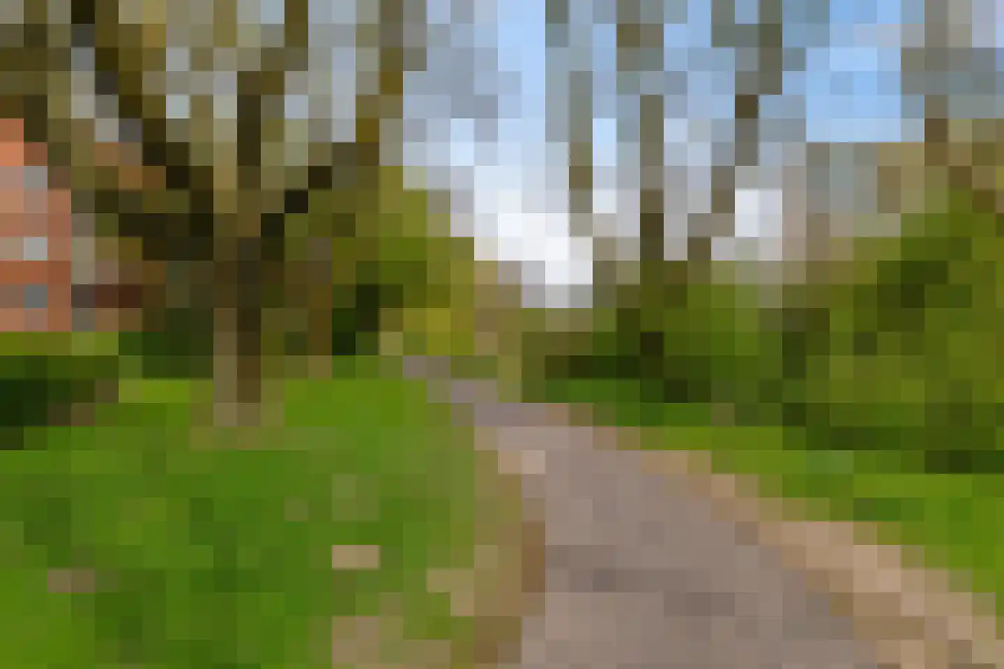 Vlierstraat 15 Groningen thumbnail 40