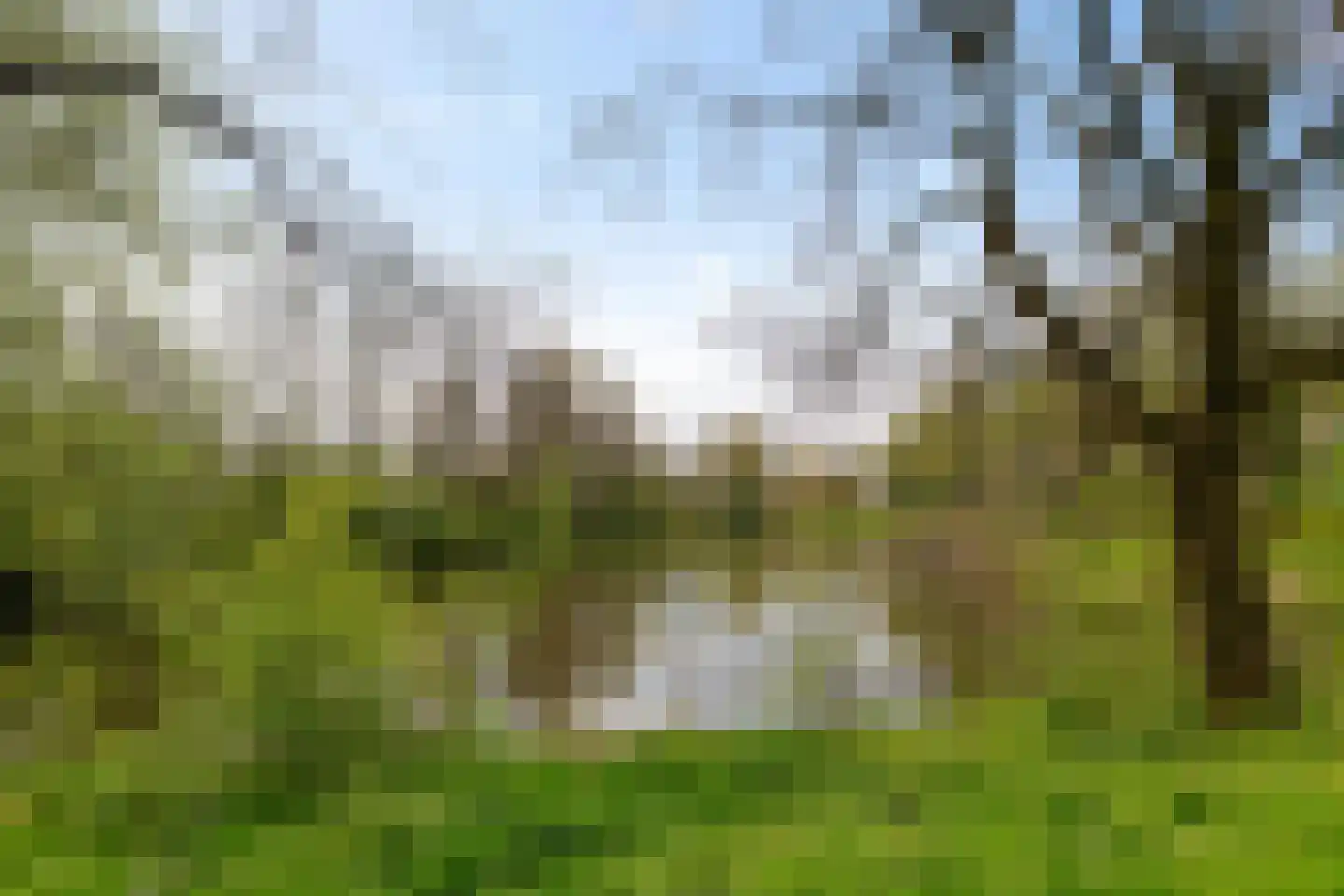 Vlierstraat 15 Groningen thumbnail 41