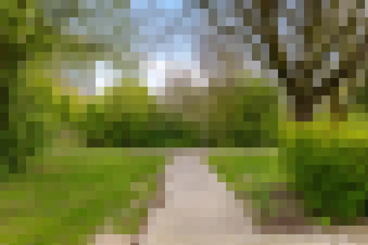 Vlierstraat 15 Groningen thumbnail 42