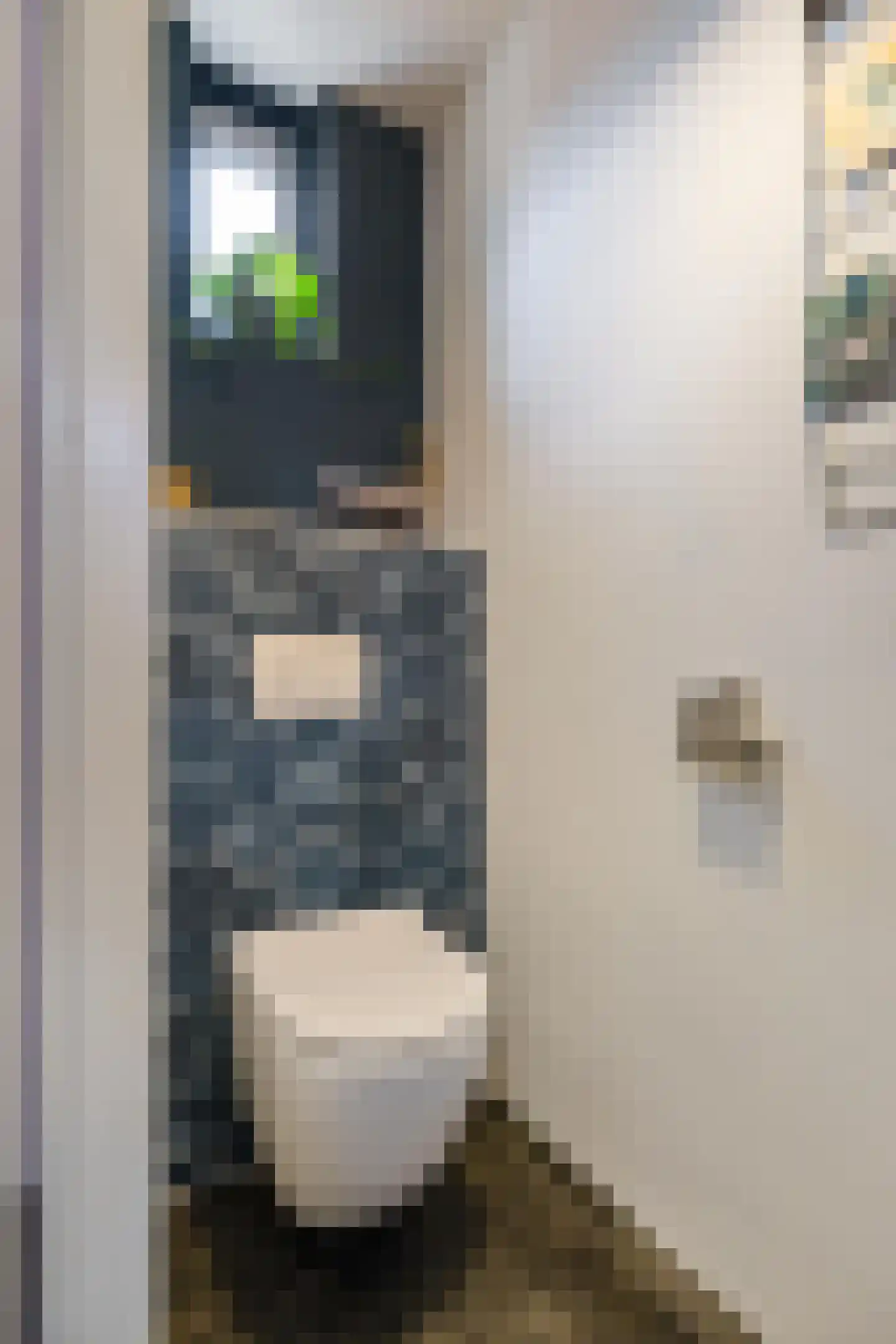 Vlierstraat 15 Groningen thumbnail 7