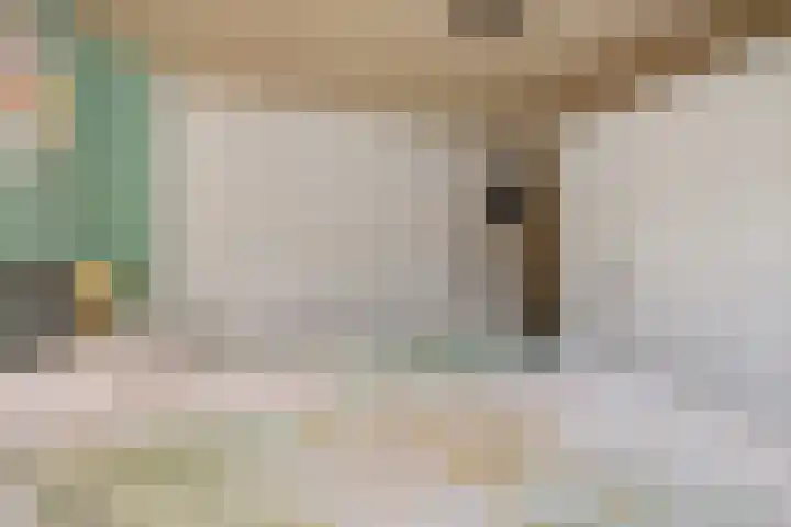 Vlierstraat 16 Asten thumbnail 13