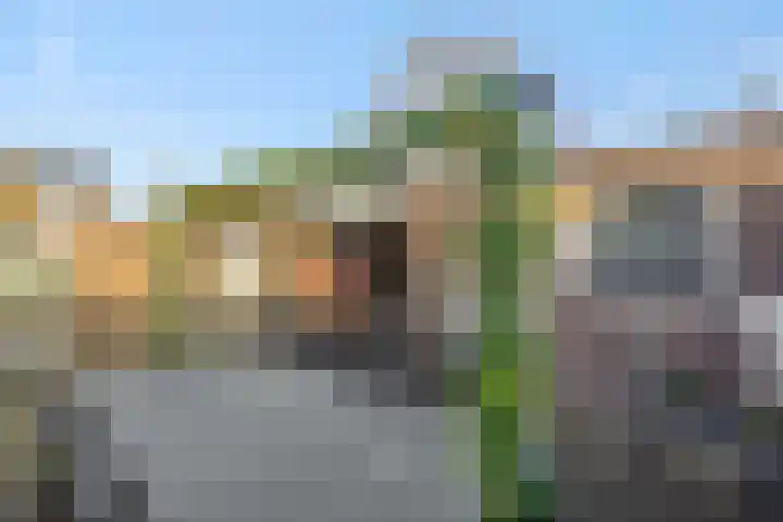 Vlierstraat 16 Asten thumbnail 21