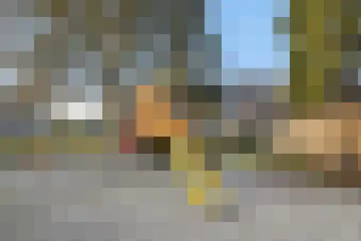 Vlierstraat 16 Asten thumbnail 27