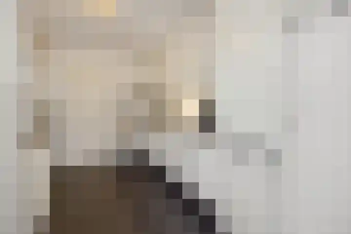 Vlierstraat 16 Asten thumbnail 9