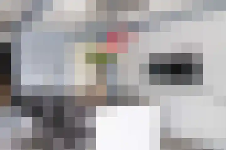 Vlierstraat 16 Wezep thumbnail 17