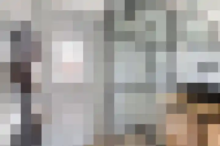 Vlierstraat 16 Wezep thumbnail 23